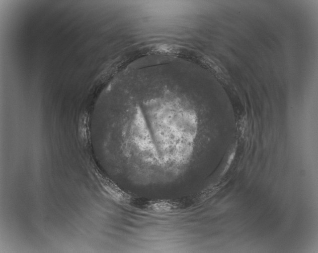 X0000072530423200607290229