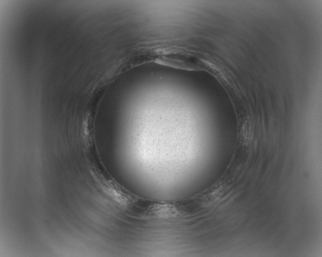 X0000072530424200607290229