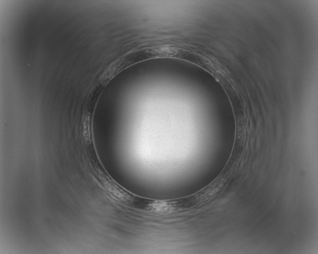 X0000072530425200607290229