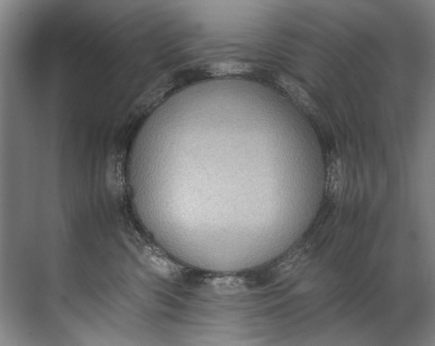 X0000072530426200607290229