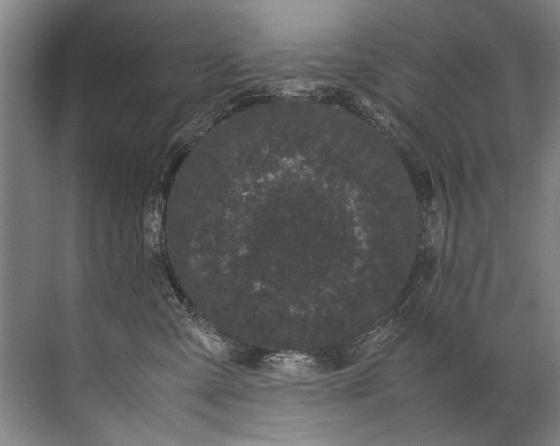 X0000072530427200607290229