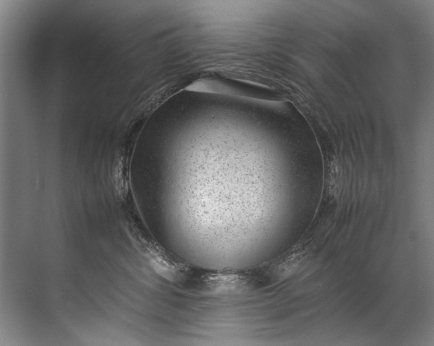 X0000072530428200607290229