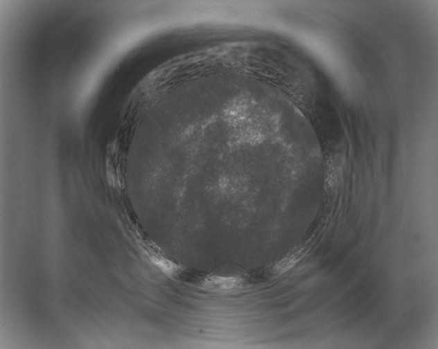 X0000072530431200607290229