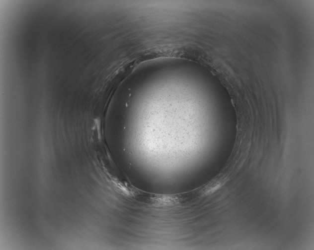 X0000072530432200607290229