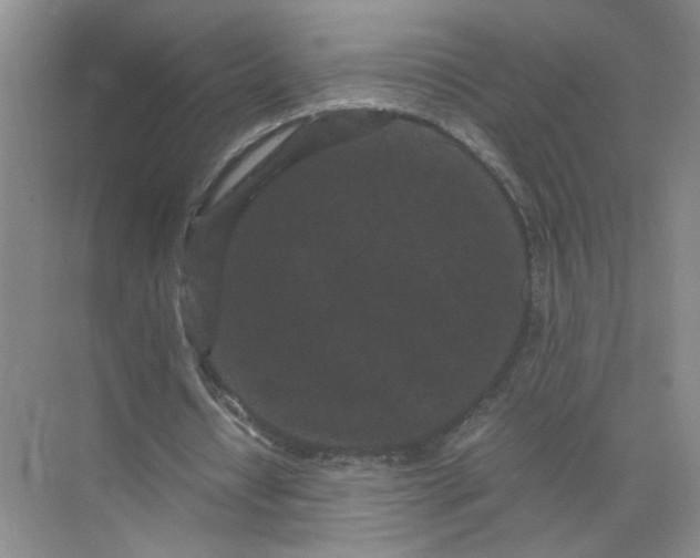 X0000072530434200607290228