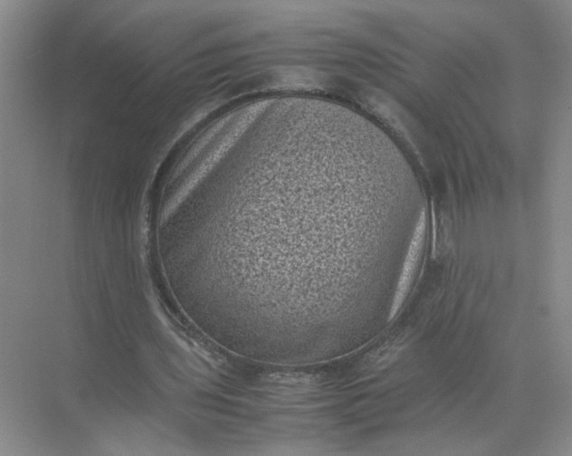 X0000072530435200607290228