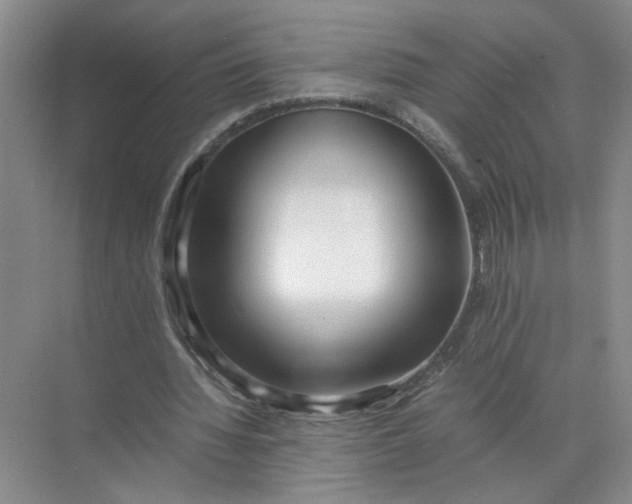 X0000072530436200607290228