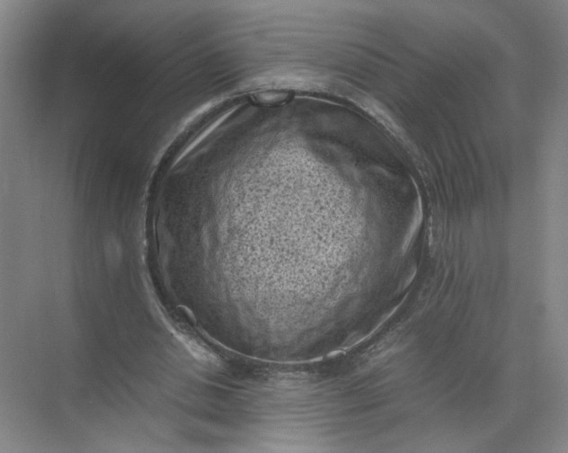 X0000072530438200607290228