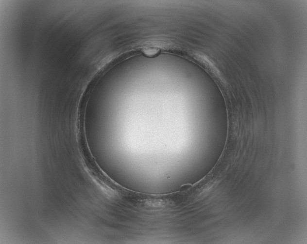 X0000072530439200607290228