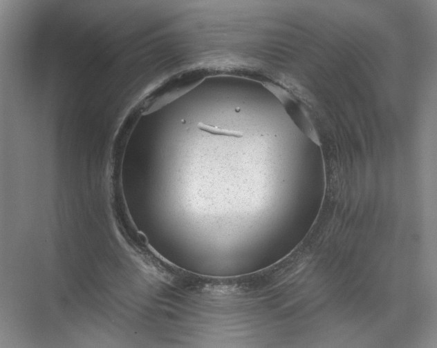 X0000072530440200607290228