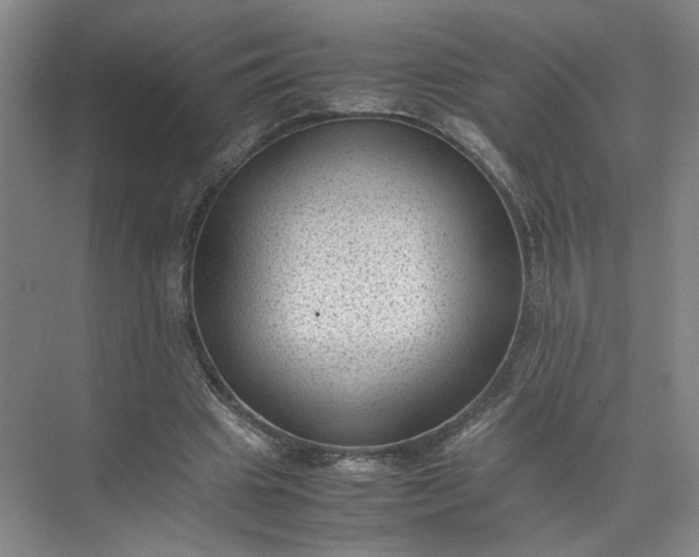 X0000072530441200607290228