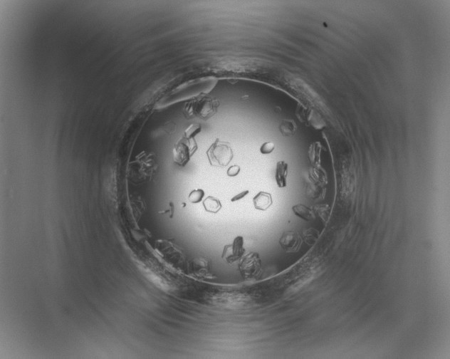 X0000072530444200607290228