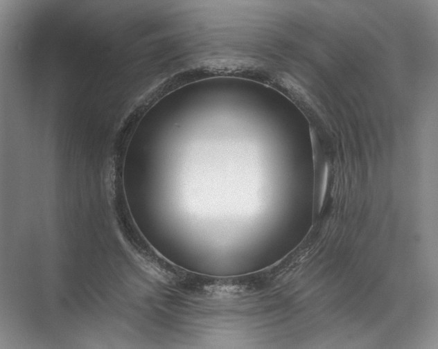 X0000072530448200607290228