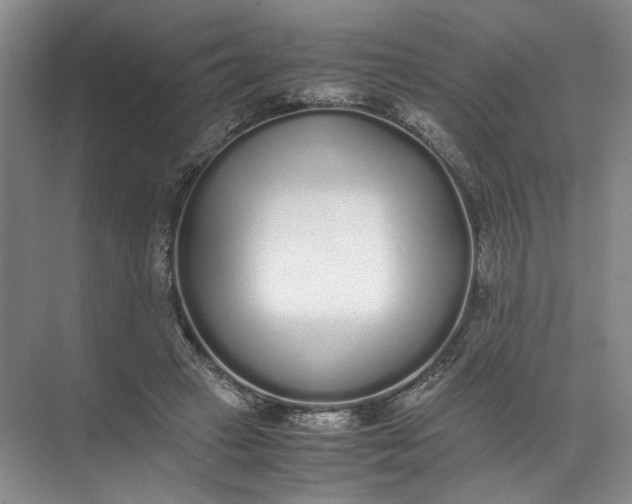 X0000072530449200607290228