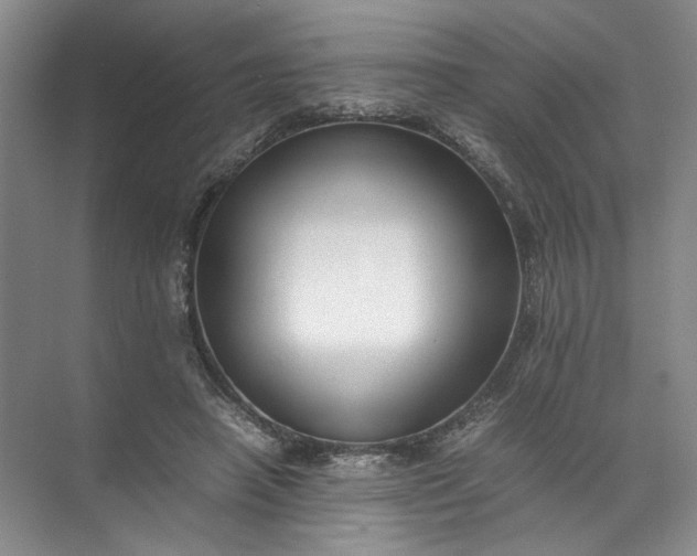 X0000072530450200607290228