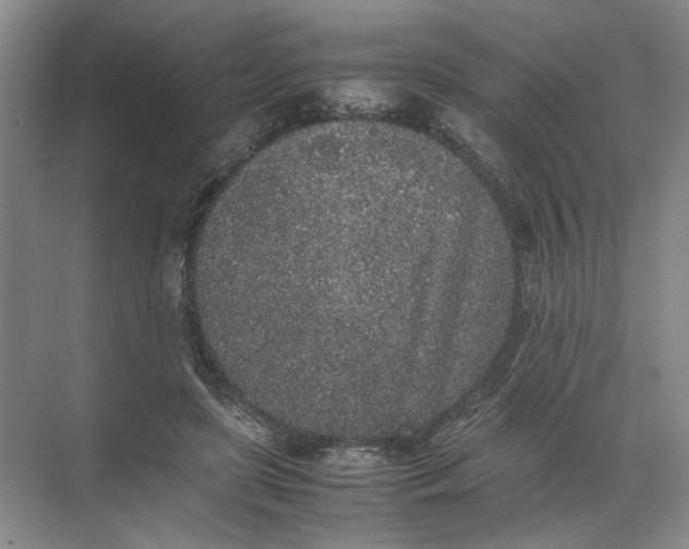 X0000072530451200607290228