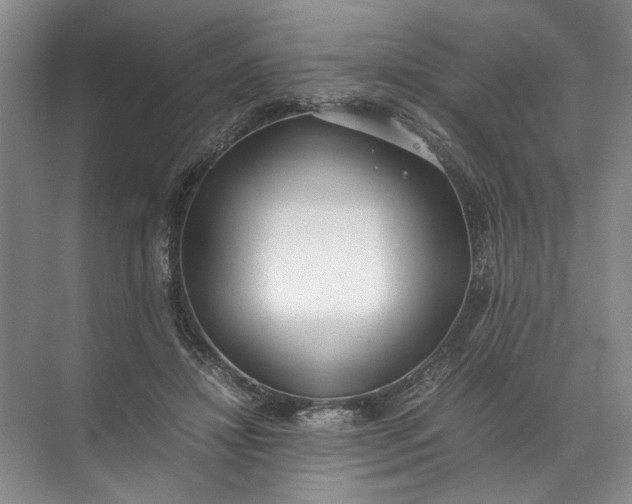 X0000072530452200607290228