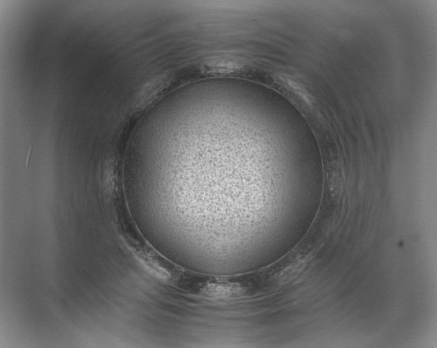 X0000072530455200607290228