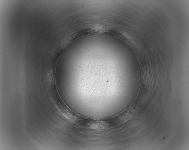 X0000072530459200607290229