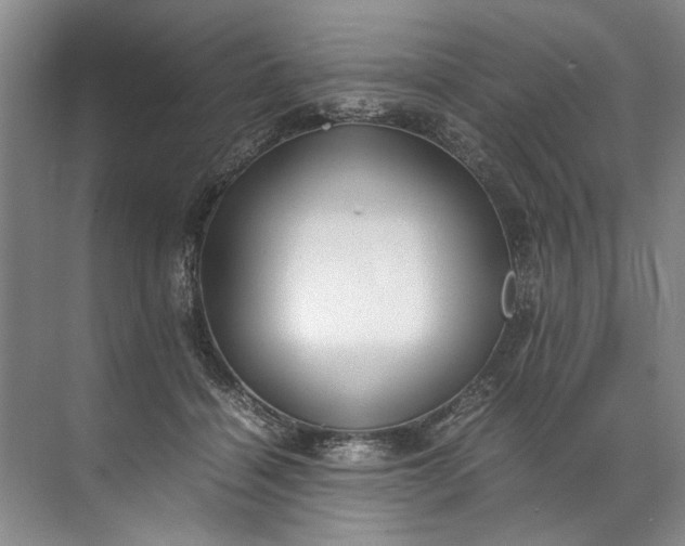 X0000072530460200607290229