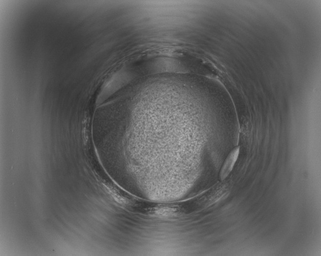 X0000072530462200607290229