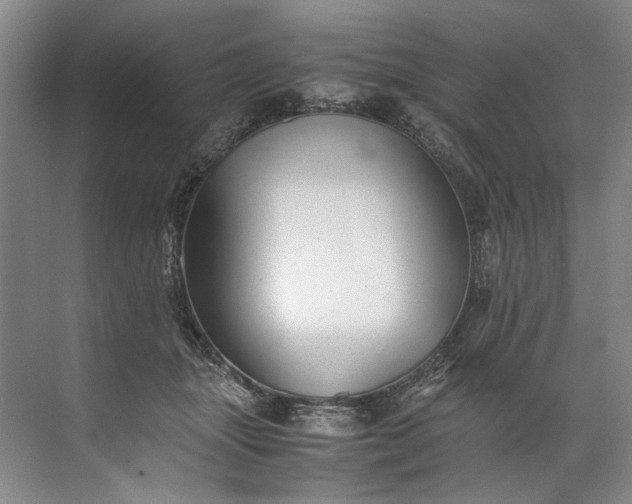 X0000072530463200607290229