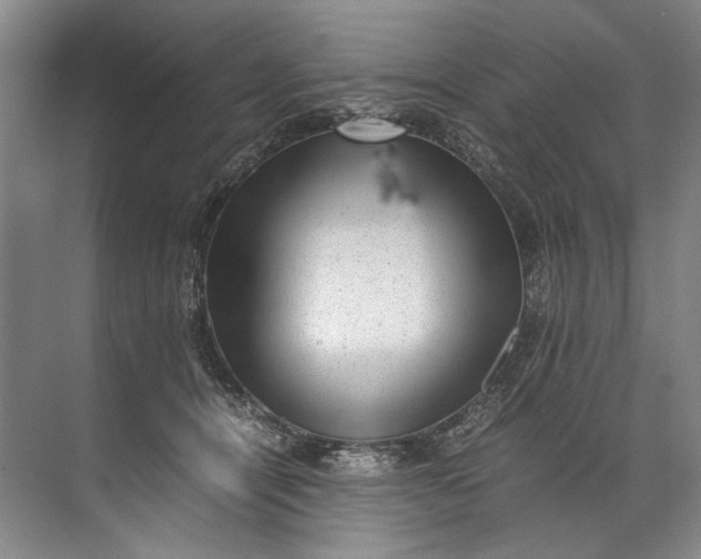 X0000072530464200607290229