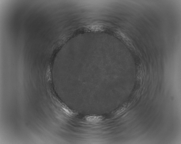 X0000072530465200607290229