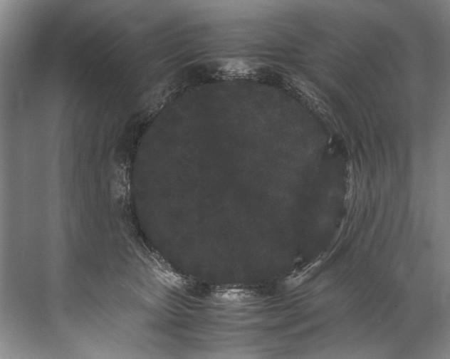 X0000072530467200607290229