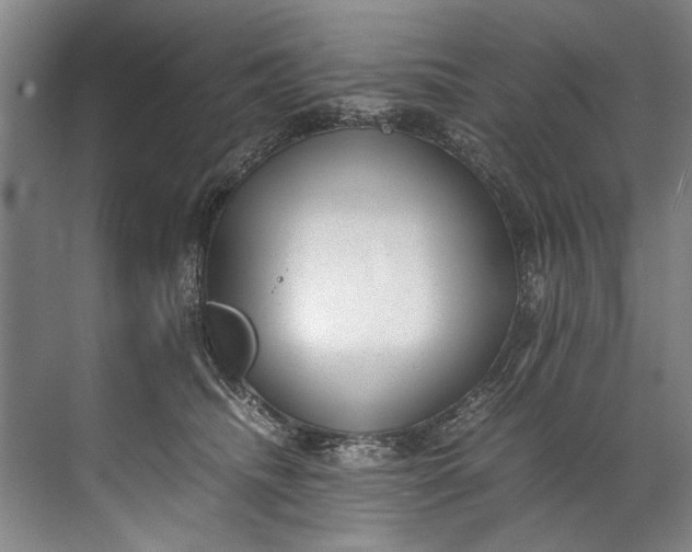 X0000072530468200607290229