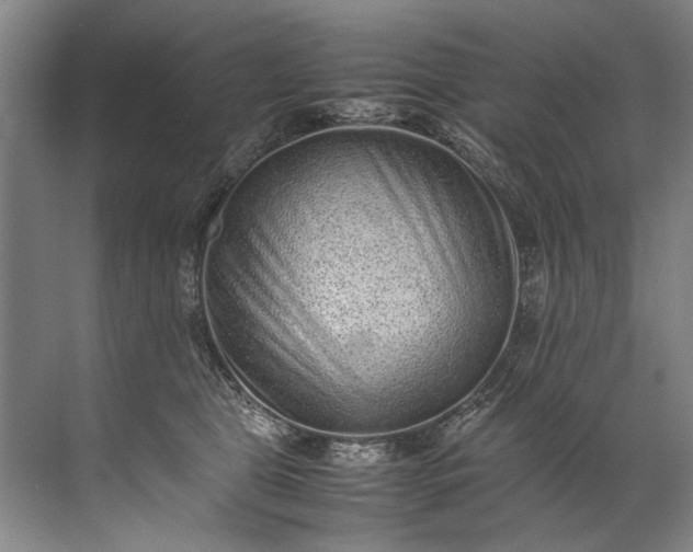 X0000072530469200607290229