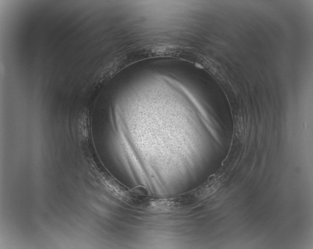 X0000072530470200607290229