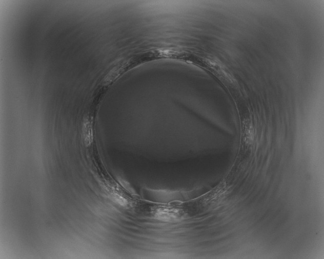 X0000072530471200607290229