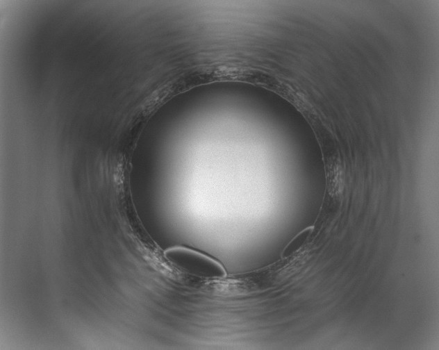 X0000072530472200607290229