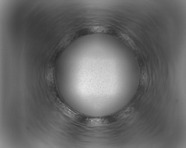 X0000072530473200607290229