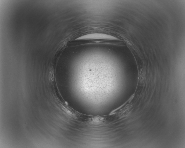 X0000072530474200607290229