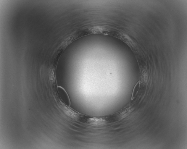 X0000072530477200607290229