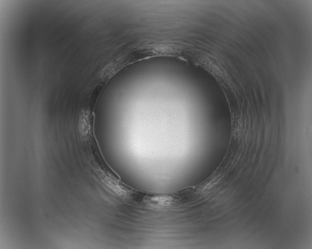 X0000072530478200607290229