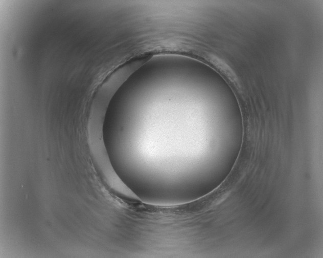 X0000072530481200607290228