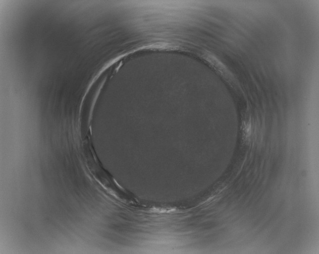 X0000072530484200607290228