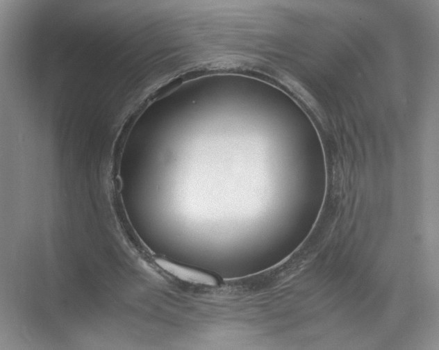 X0000072530485200607290228