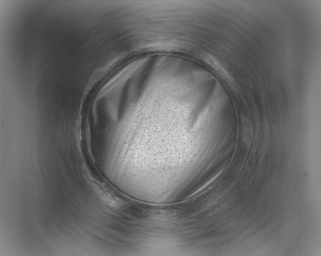 X0000072530486200607290228