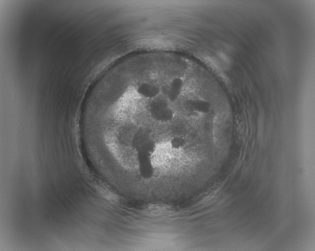 X0000072530487200607290228