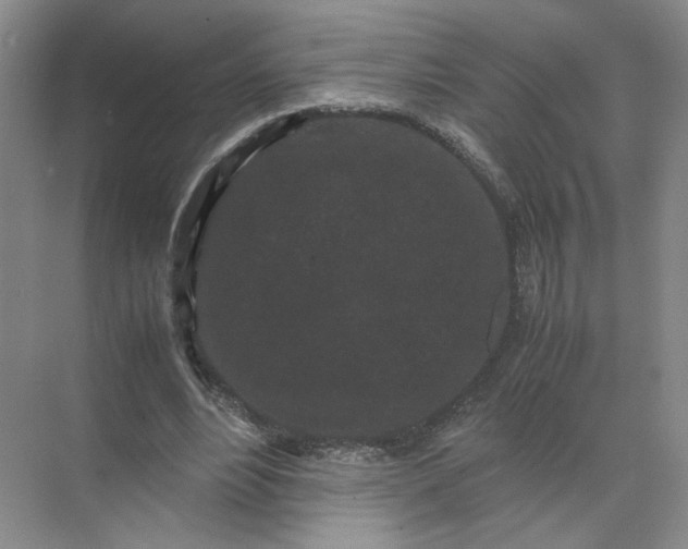 X0000072530488200607290228