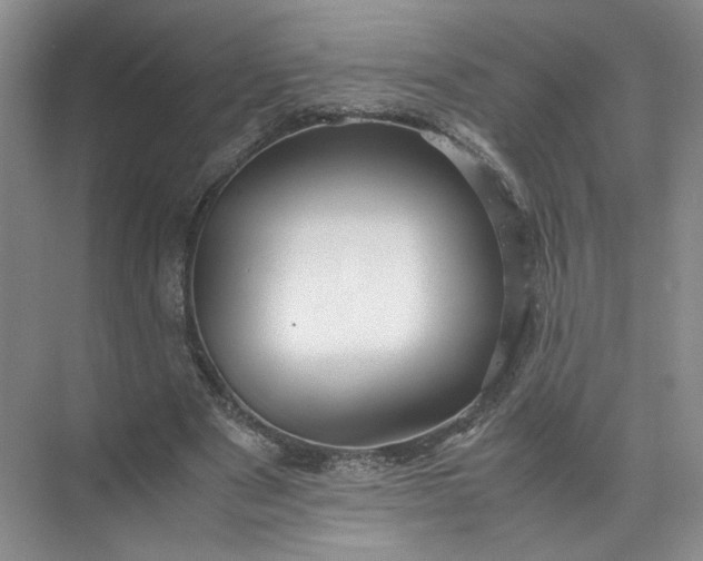 X0000072530489200607290228