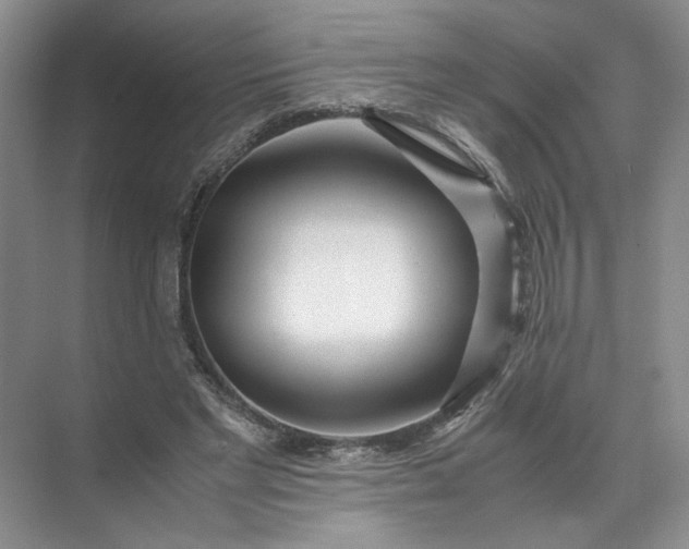 X0000072530493200607290228