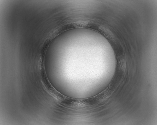 X0000072530498200607290228