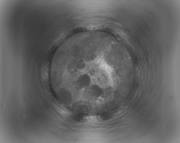 X0000072530499200607290228