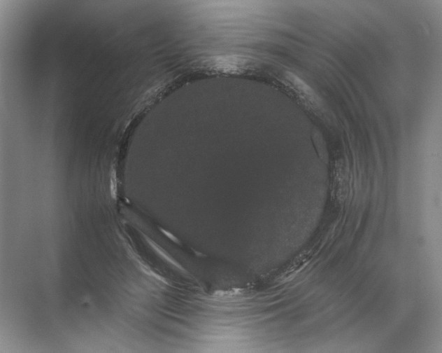 X0000072530500200607290228