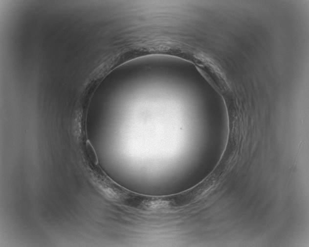 X0000072530501200607290228